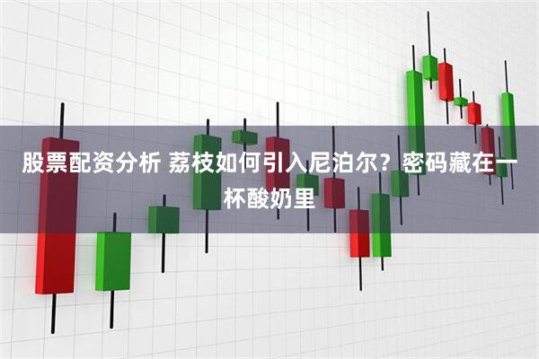 股票配资分析 荔枝如何引入尼泊尔？密码藏在一杯酸奶里