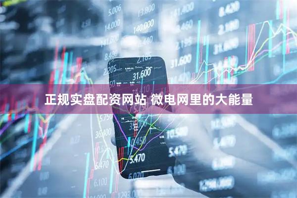 正规实盘配资网站 微电网里的大能量